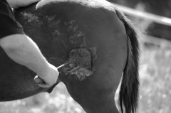 餐飲店老板該如何設(shè)計(jì)餐飲品牌在競(jìng)爭(zhēng)中勝出并贏得顧客？